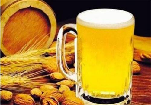 圣伯纯精酿啤酒